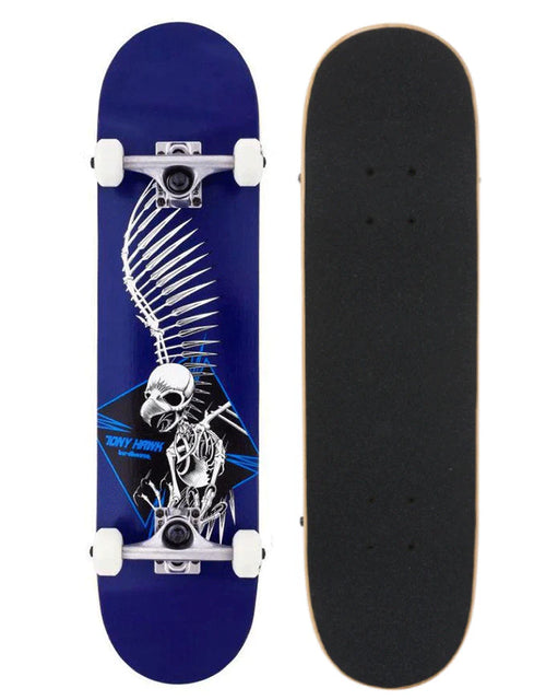 Birdhouse Level 1 Full Skull 2 Complete | 7.5"